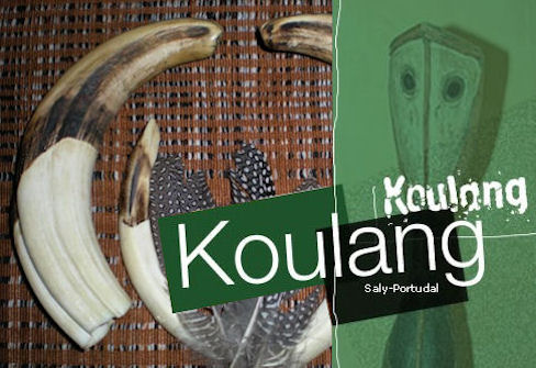 Une semaine chasse avec Koulang-Koulang