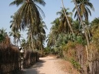 Casamance