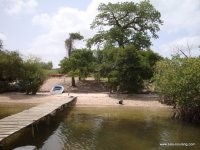 Saloum - Gambie